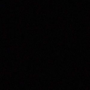 Meet your Posher, Brady